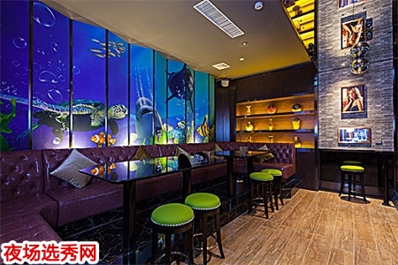 上海高端夜场招聘dj佳丽信息〖生意最稳定〗图片展示